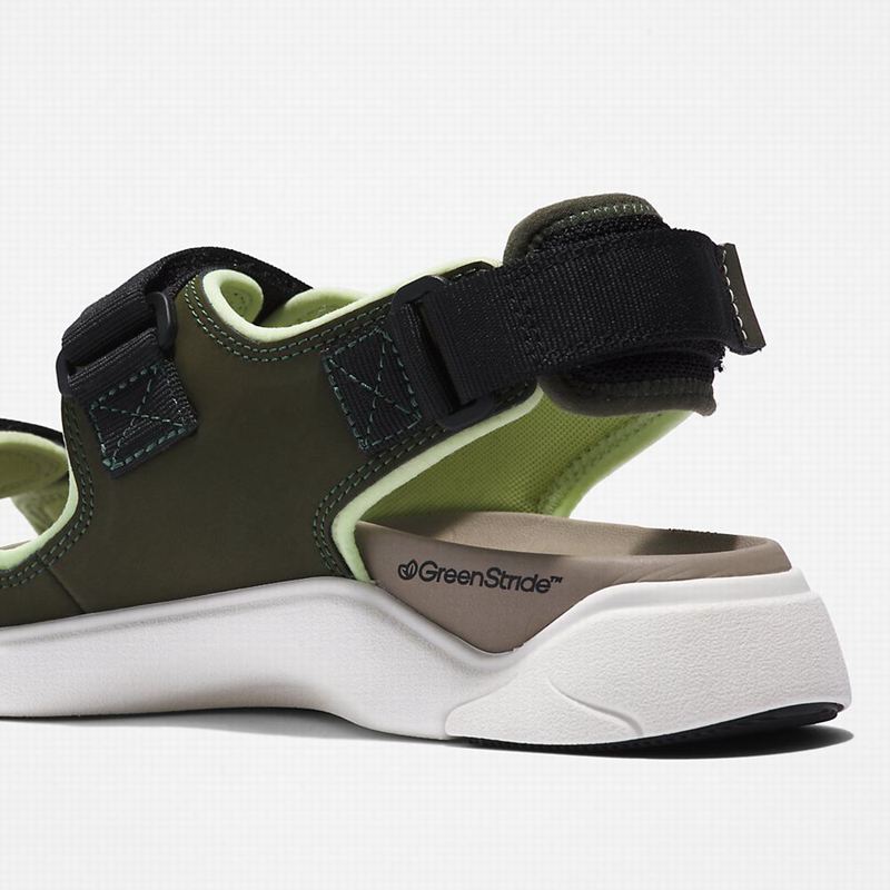 Timberland Whitehaven Backstrap Sandale Maslinasto Zelene | 91330359