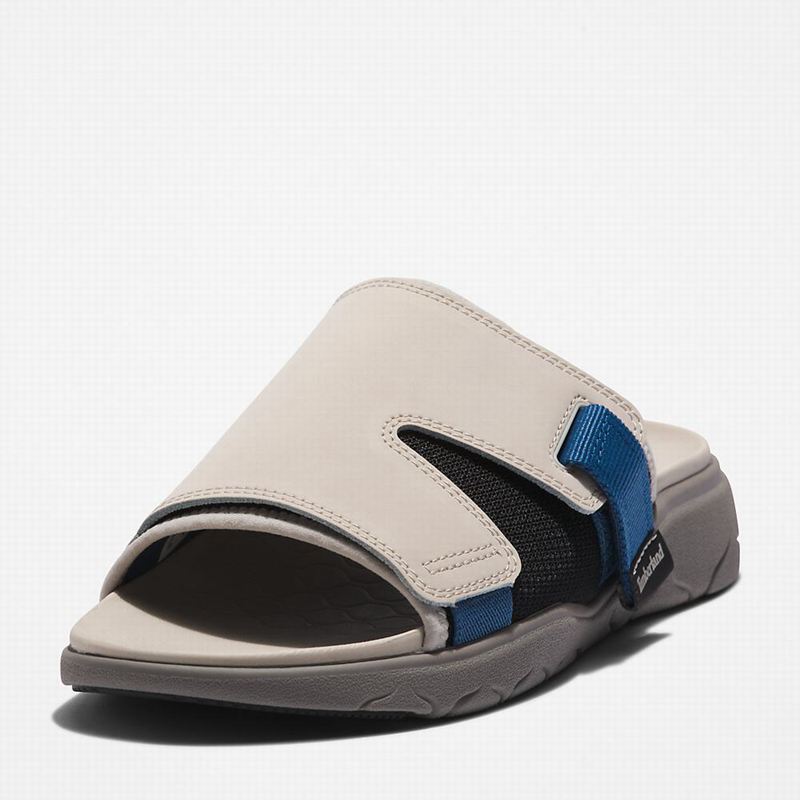 Timberland Whitehaven Slajdovi Bijele | 22819900