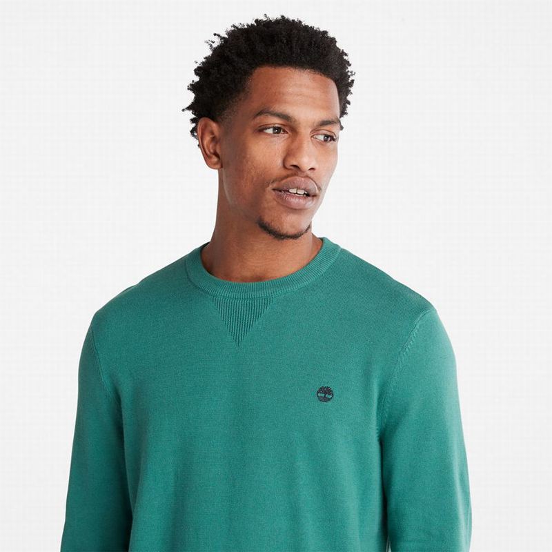 Timberland Williams River Crewneck Skakači Tirkizne | 19641881
