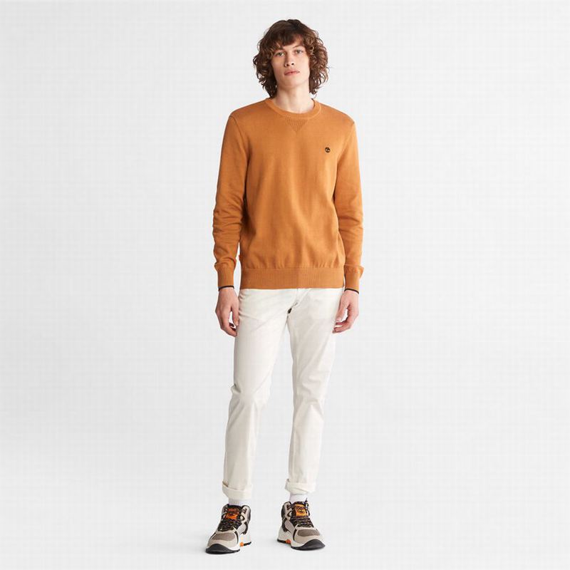 Timberland Williams River Organic Cotton Džemperi Žute | 59469621