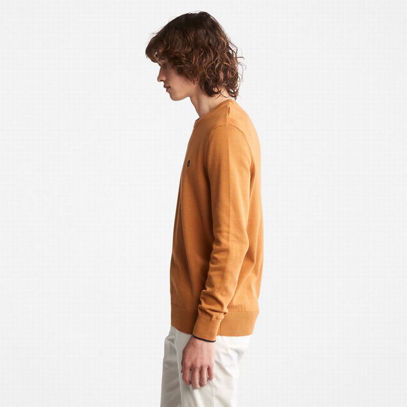 Timberland Williams River Organic Cotton Džemperi Žute | 59469621