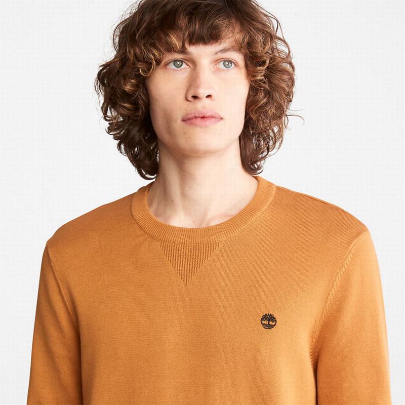 Timberland Williams River Organic Cotton Džemperi Žute | 59469621