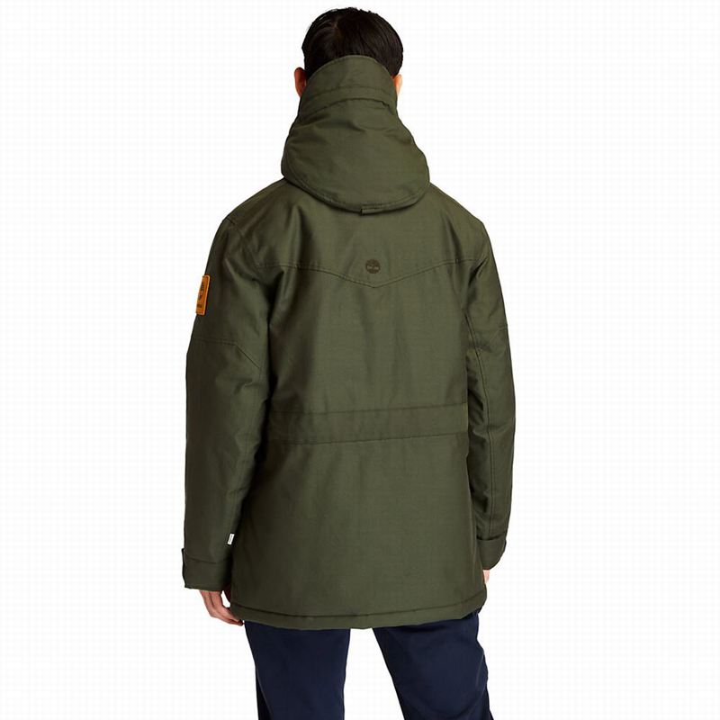 Timberland Wilmington DryVentField Parka Zelene | 65361493