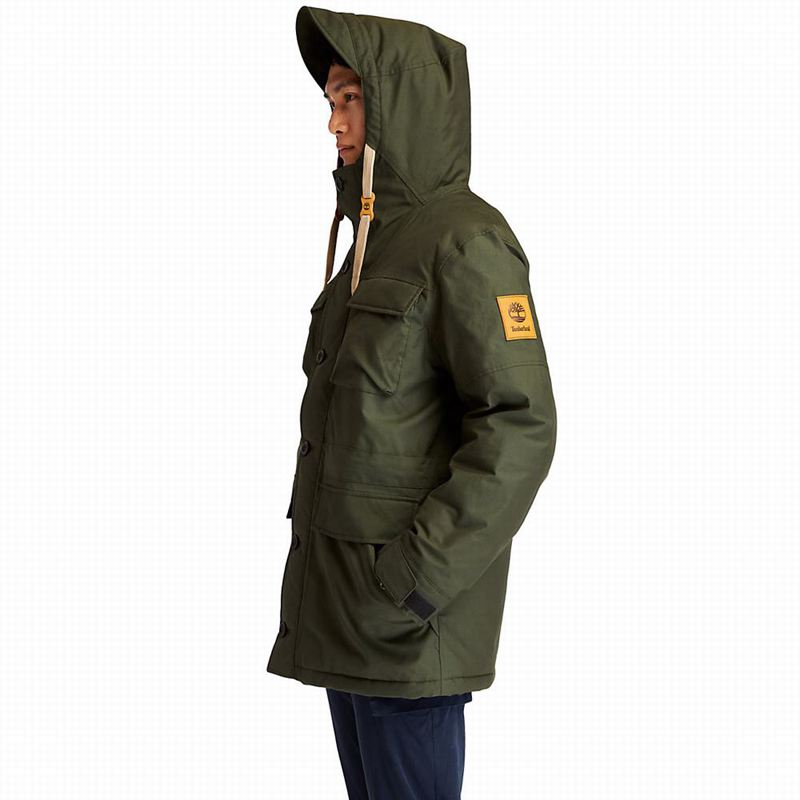 Timberland Wilmington DryVentField Parka Zelene | 65361493