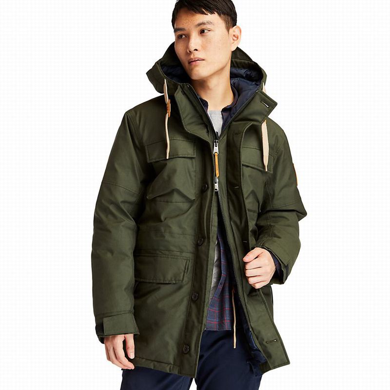 Timberland Wilmington DryVentField Parka Zelene | 65361493