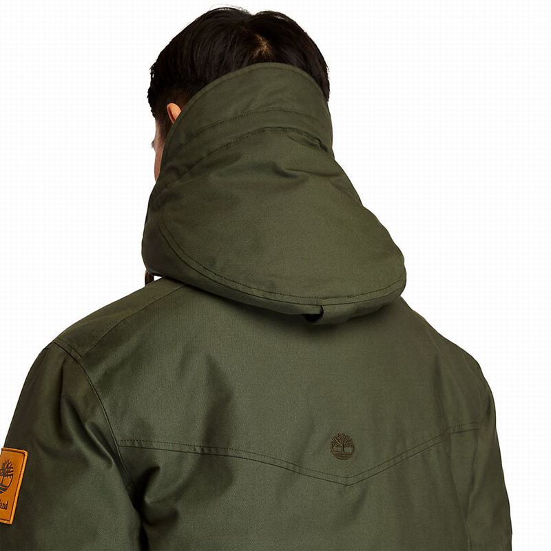 Timberland Wilmington DryVentField Parka Zelene | 65361493
