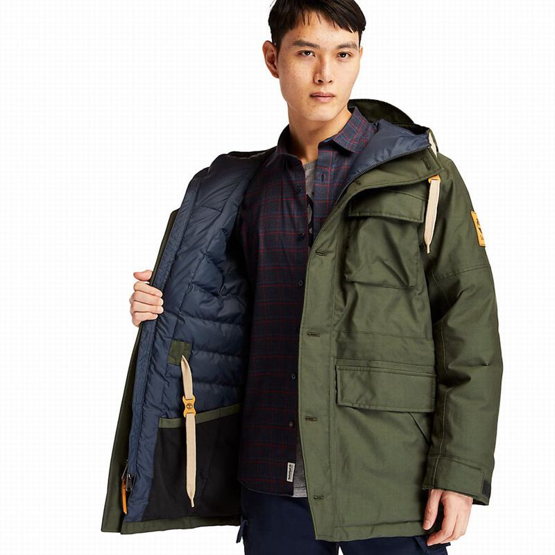 Timberland Wilmington DryVentField Parka Zelene | 65361493