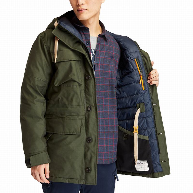 Timberland Wilmington DryVentField Parka Zelene | 65361493