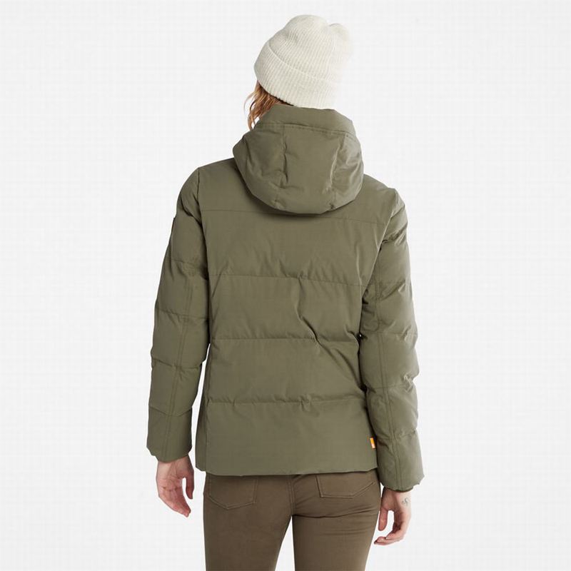 Timberland Wilmington EK+ Zimske Jakne Maslinasto Zelene | 13159792
