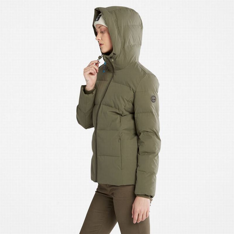 Timberland Wilmington EK+ Zimske Jakne Maslinasto Zelene | 13159792