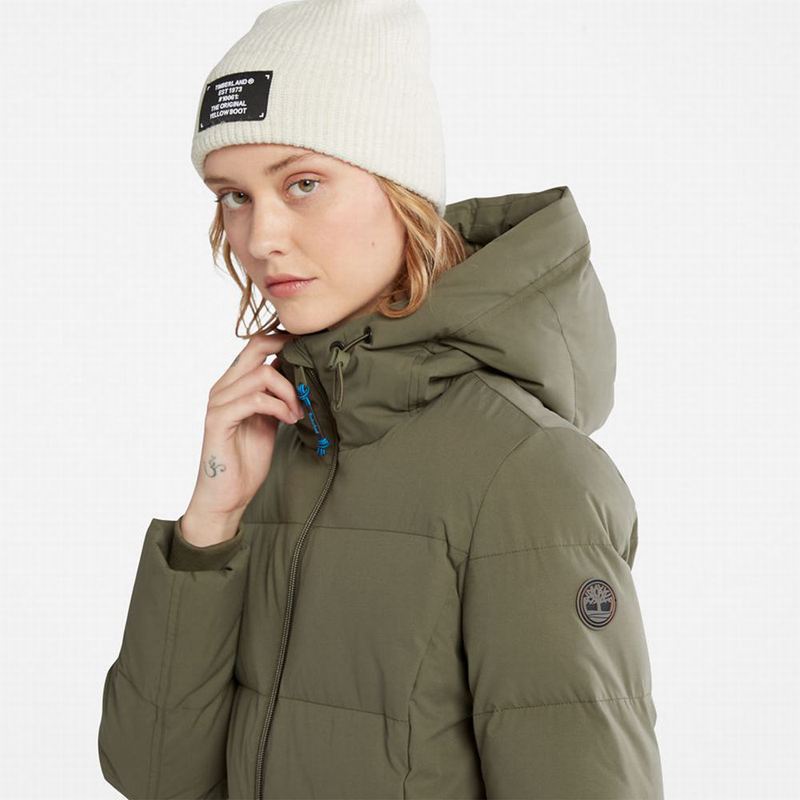 Timberland Wilmington EK+ Zimske Jakne Maslinasto Zelene | 13159792