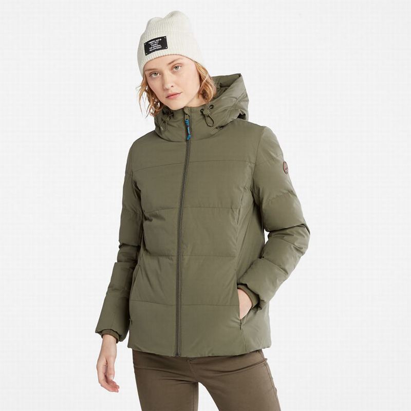 Timberland Wilmington EK+ Zimske Jakne Maslinasto Zelene | 13159792
