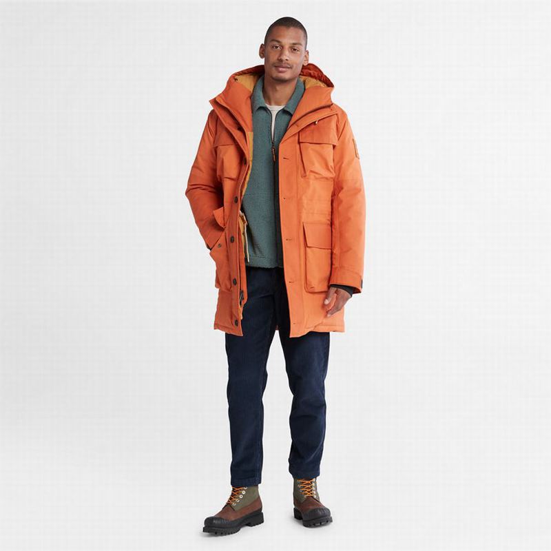 Timberland Wilmington Expedition Parka Narančaste | 7069658