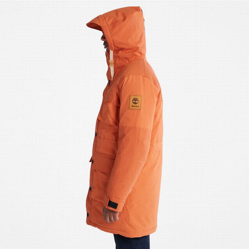 Timberland Wilmington Expedition Parka Narančaste | 7069658