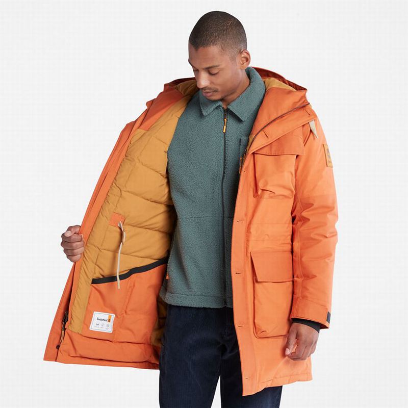 Timberland Wilmington Expedition Parka Narančaste | 7069658