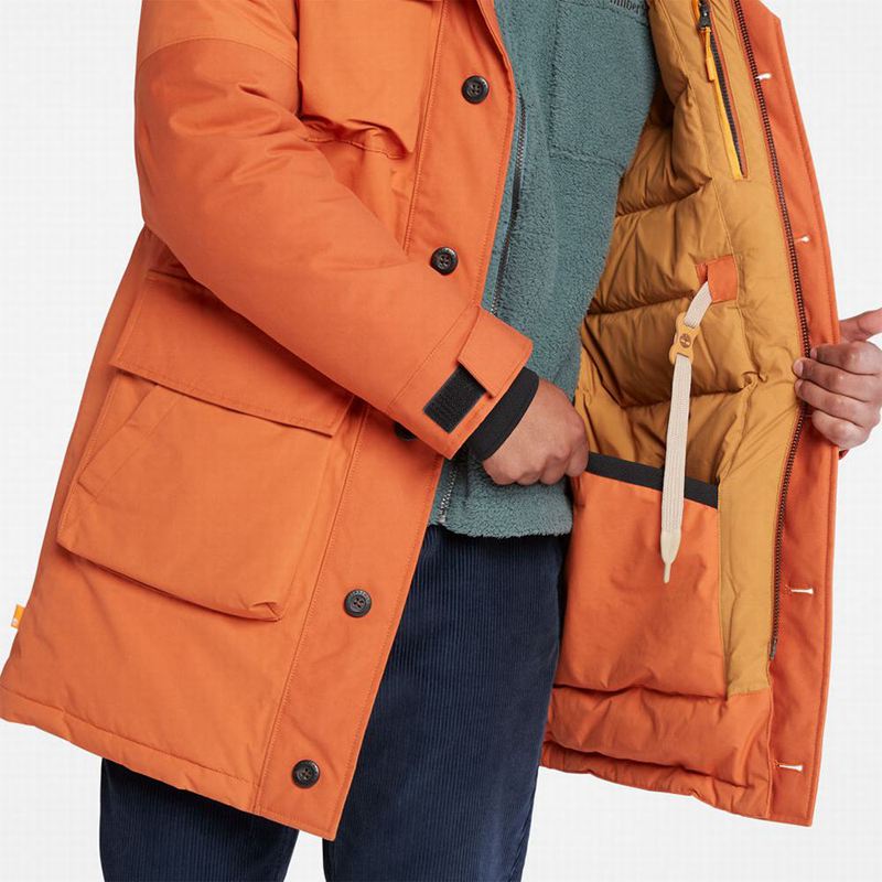Timberland Wilmington Expedition Parka Narančaste | 7069658
