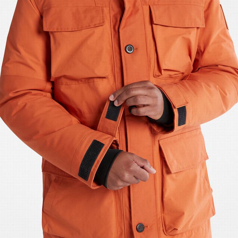 Timberland Wilmington Expedition Parka Narančaste | 7069658