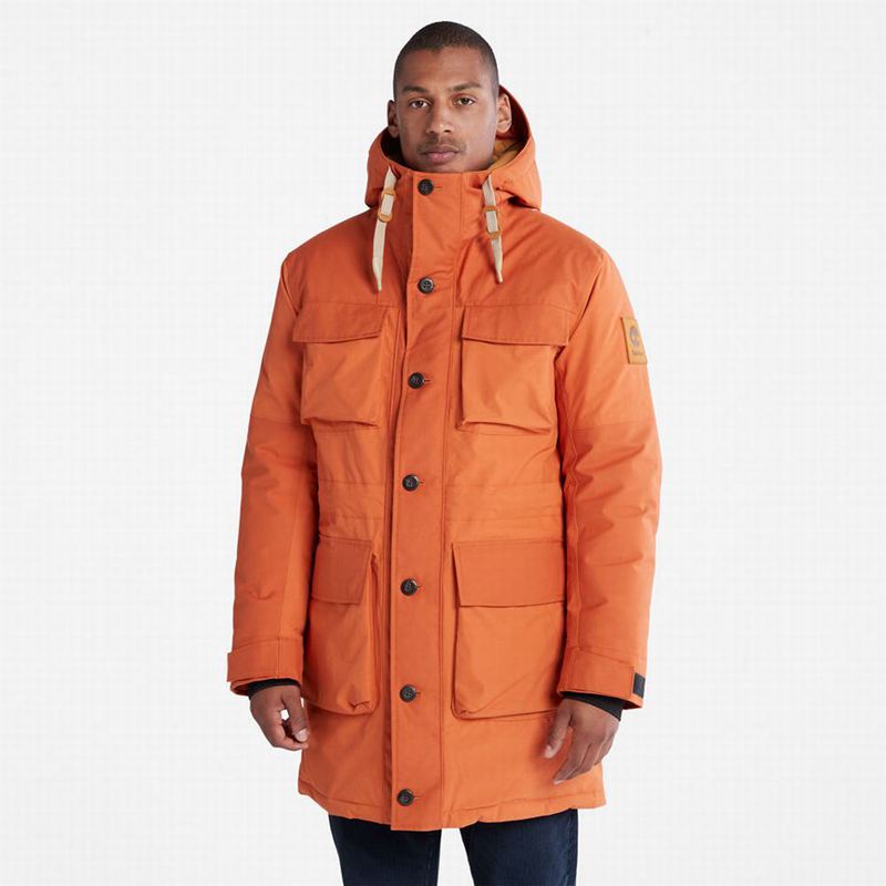 Timberland Wilmington Expedition Parka Narančaste | 7069658