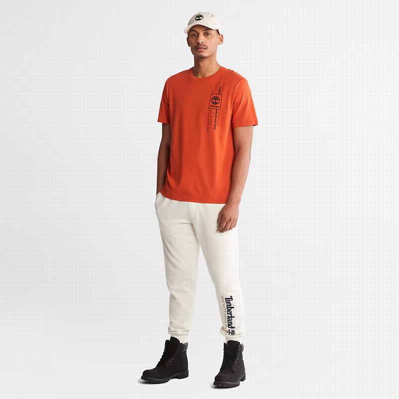 Timberland Wind Water Earth and SkySwea Jogger Hlače Bijele | 53694907