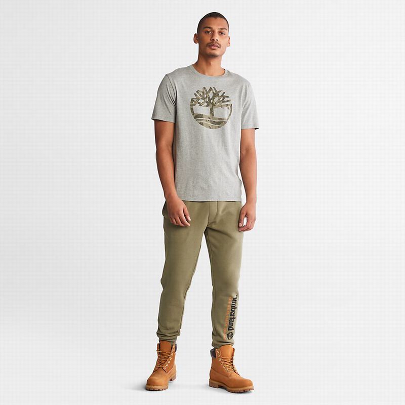 Timberland Wind Water Earth and SkySwea Jogger Hlače Maslinasto Zelene | 67035173