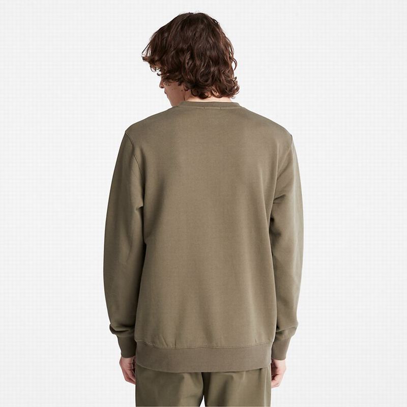 Timberland Wind Water Earth and Sky Crewneck Dukserice Maslinasto Zelene | 42216970