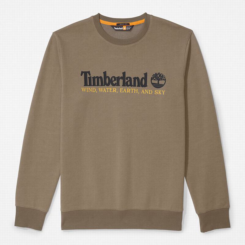 Timberland Wind Water Earth and Sky Crewneck Dukserice Maslinasto Zelene | 42216970