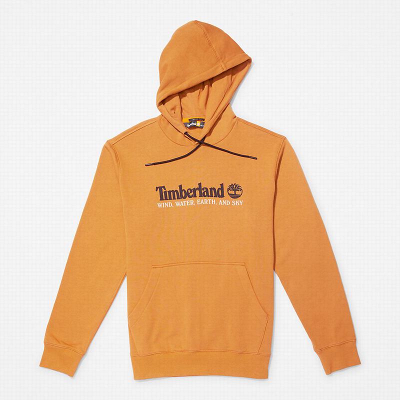 Timberland Wind Water Earth and Sky Majica S Kapuljačom Smeđe | 29933269