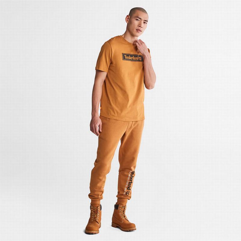 Timberland Wind Water Earth and Sky Tracksuit Bottoms Jogger Hlače Žute | 70759114