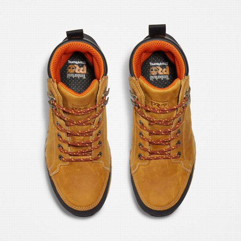 Timberland Work Summit 6