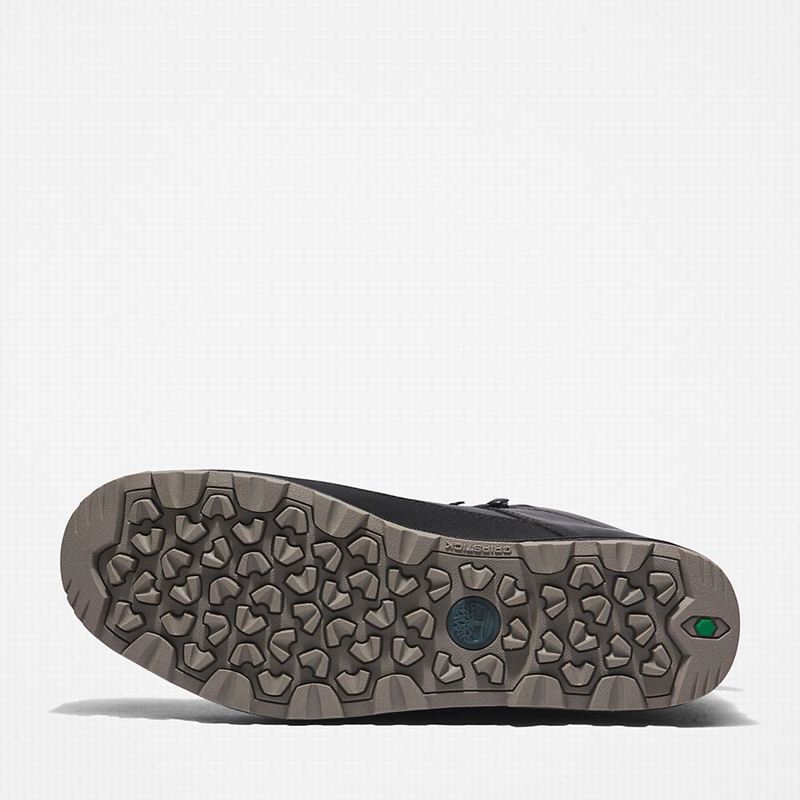 Timberland World Planinarske Cipele Crne | 34509501