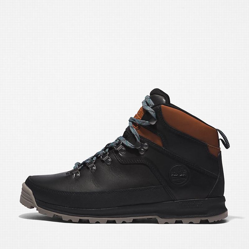 Timberland World Planinarske Cipele Crne | 34509501