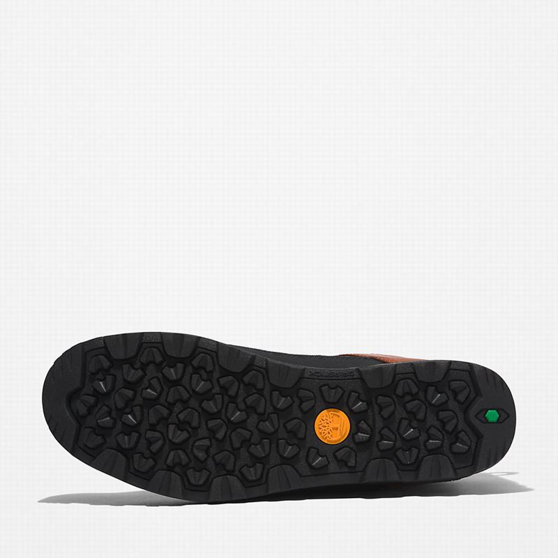 Timberland World Planinarske Cipele Smeđe | 25897974