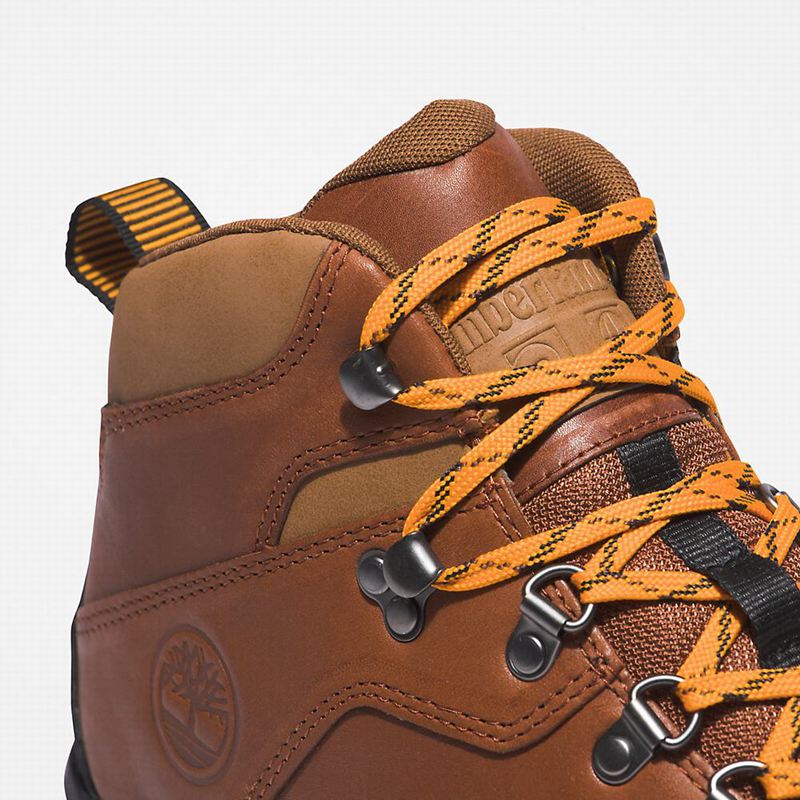 Timberland World Planinarske Cipele Smeđe | 25897974