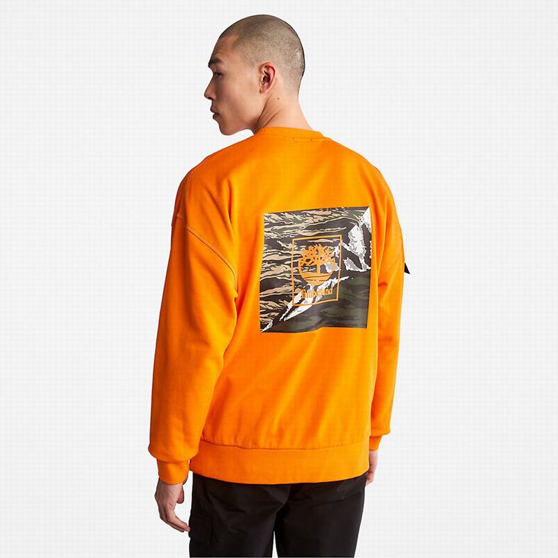 Timberland Year of the Tiger Dukserice Narančaste | 70660323