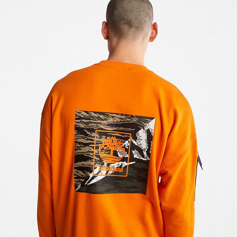 Timberland Year of the Tiger Dukserice Narančaste | 70660323