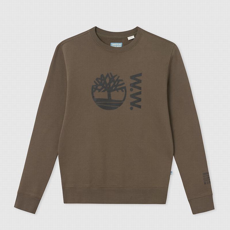 Timberland x WoodWood Crew Dukserice Kafe | 28521061