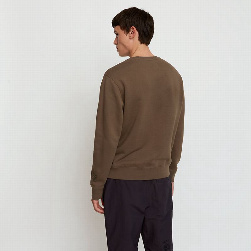 Timberland x WoodWood Crew Dukserice Kafe | 28521061