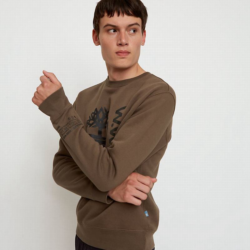 Timberland x WoodWood Crew Dukserice Kafe | 28521061