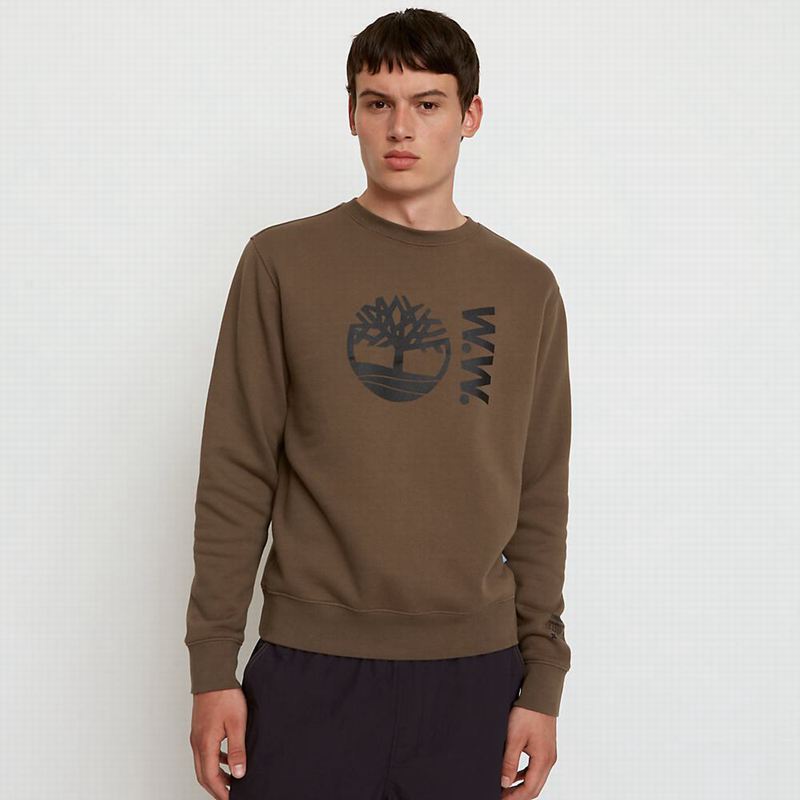 Timberland x WoodWood Crew Dukserice Kafe | 28521061