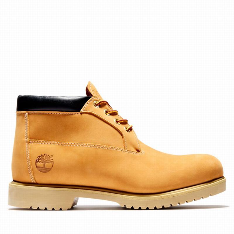 Timberland 1973 Newman Waterproof Chukka Čizme Smeđe | 96648070
