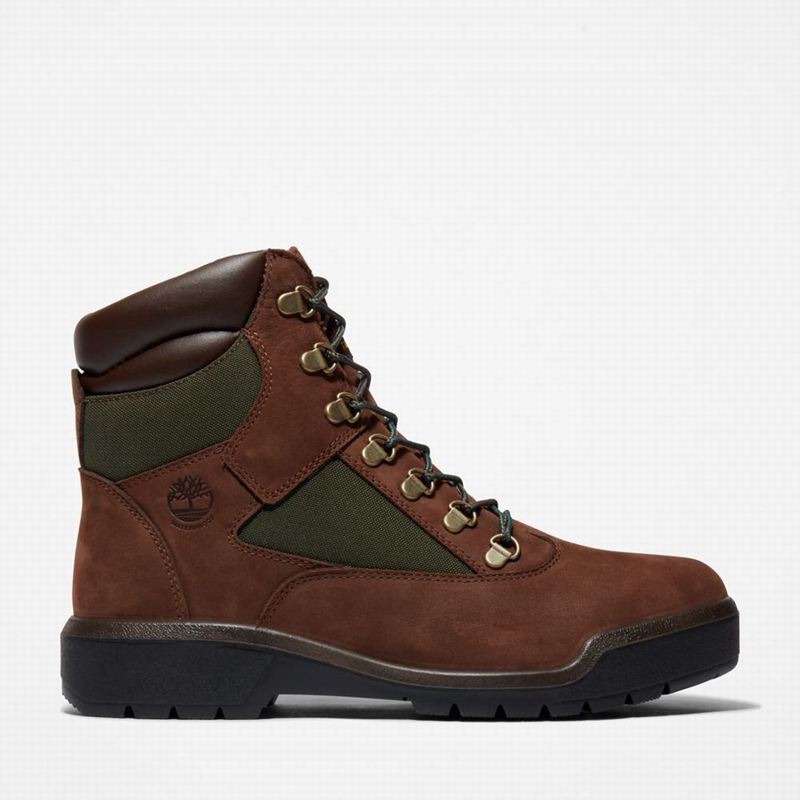 Timberland 6-Inch Waterproof Field Vodootporne Čizme Smeđe | 98139644