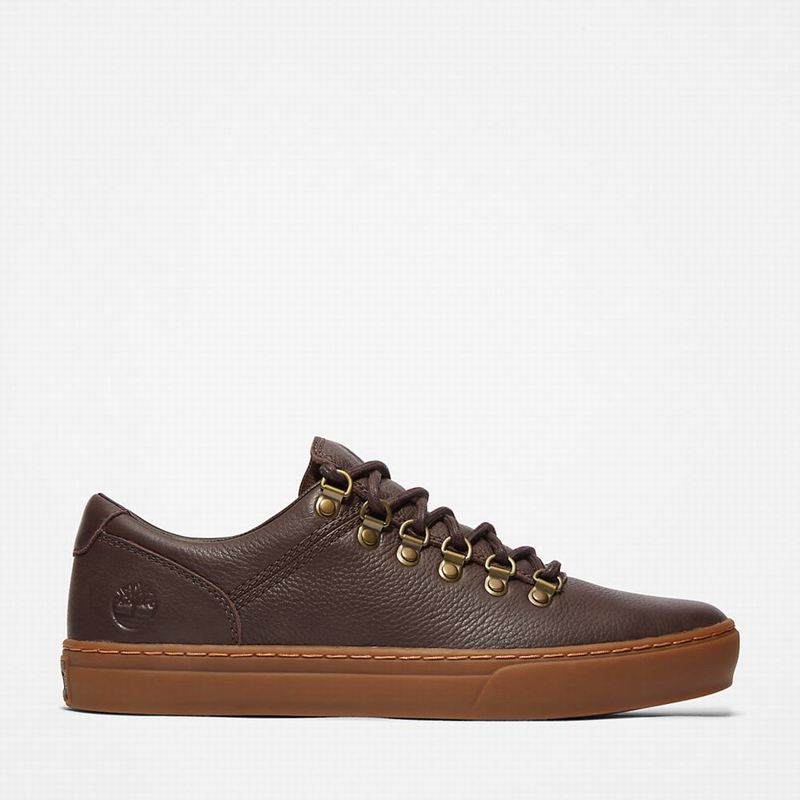 Timberland Adventure 2.0 Cupsole Alpine Tenisice Smeđe | 17648267