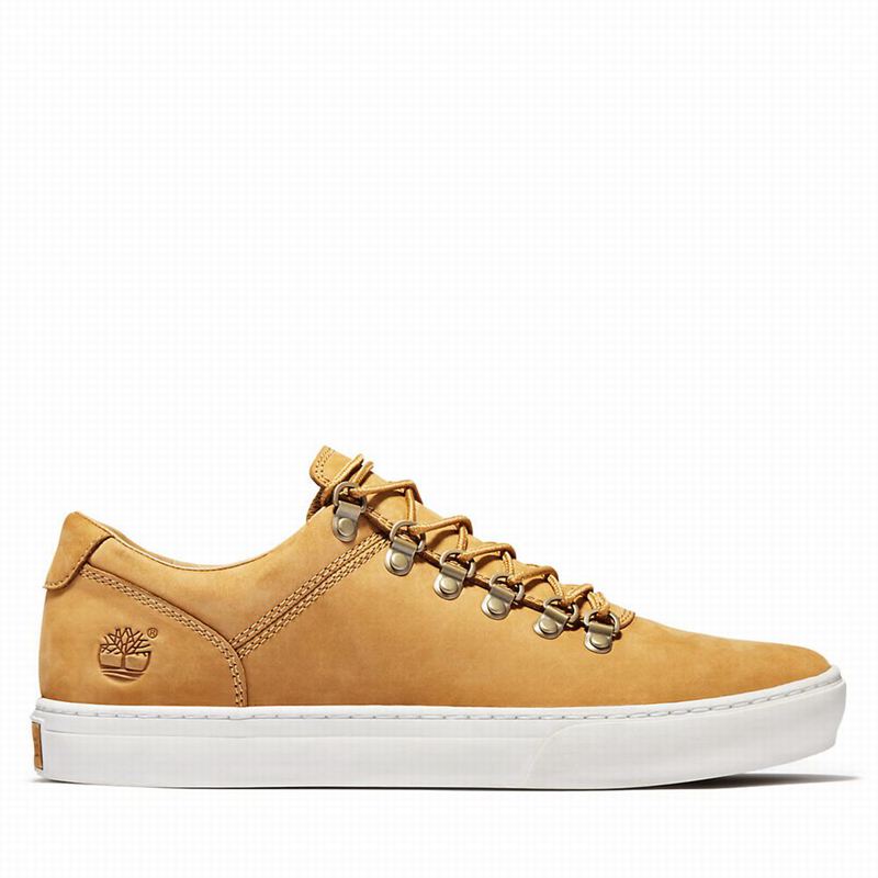 Timberland Adventure 2.0 Cupsole Alpine Tenisice Žute | 31856310