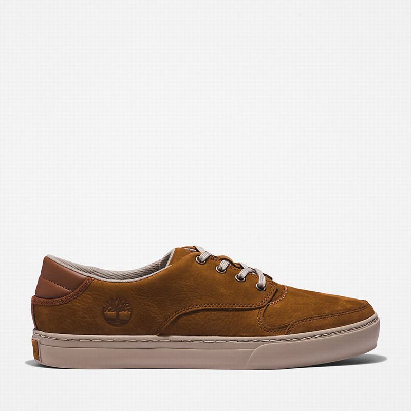Timberland Adventure 2.0 Low Tenisice Smeđe | 19200629