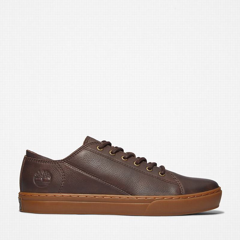 Timberland Adventure 2.0 Tenisice Smeđe | 11489435