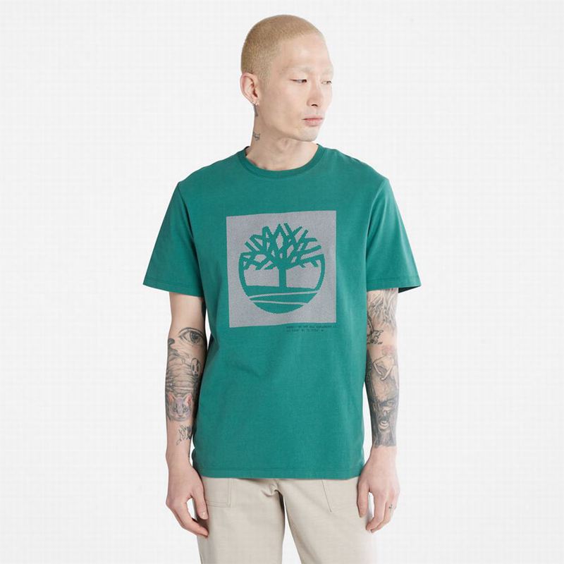 Timberland Anti-Odour Supima Cotton Majice Tirkizne | 98228350