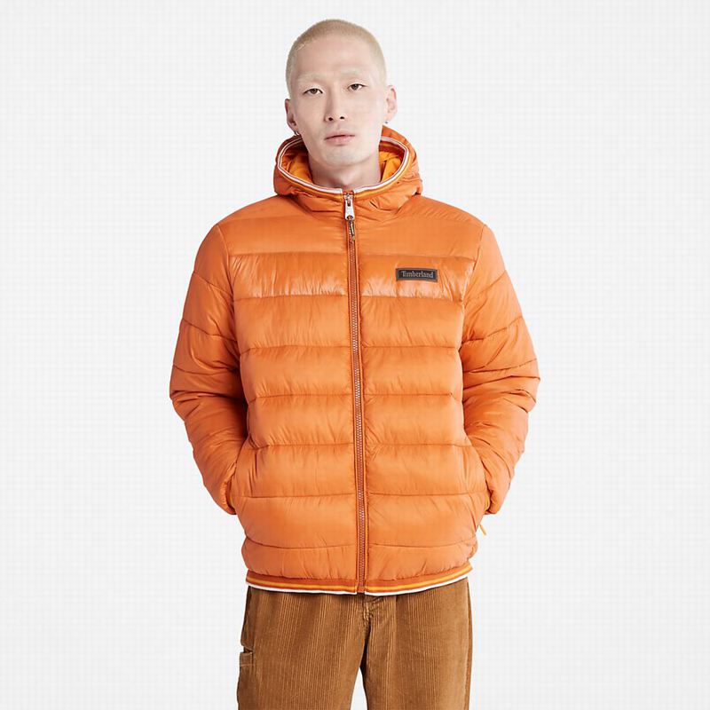 Timberland Axis Peak Water-Repellent Jakne Narančaste | 6443341
