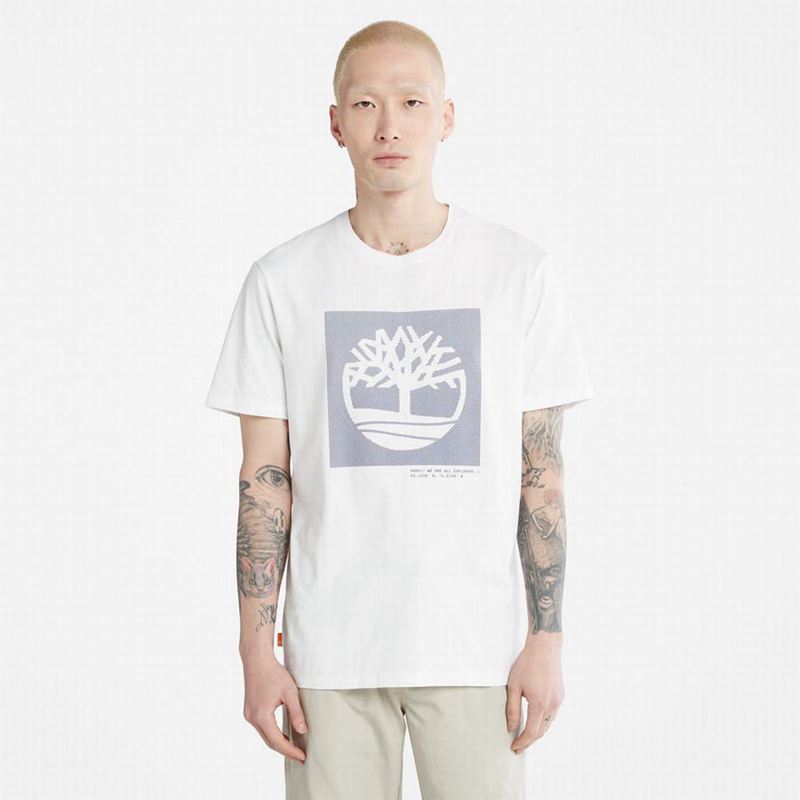 Timberland Back Graficke Logo Majice Bijele | 80065671