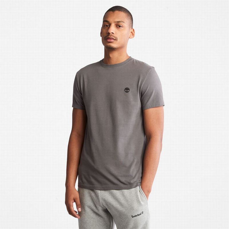 Timberland Back-Graficke Majice Sive | 73944015