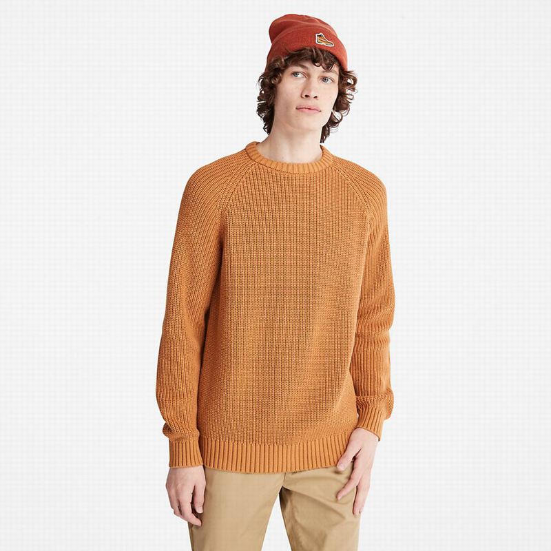 Timberland Beards Brook Raglan Skakači Smeđe | 9215297